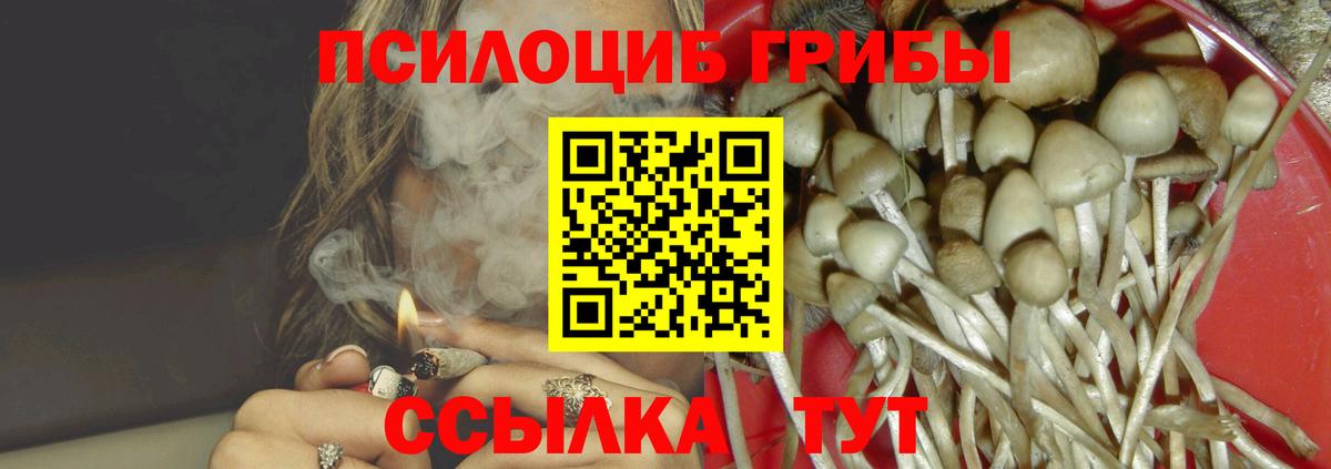 Губаха  Галлюциногенные грибы ЛСД  Вход с VPN  Галлюциногенные грибы Magic Shrooms 